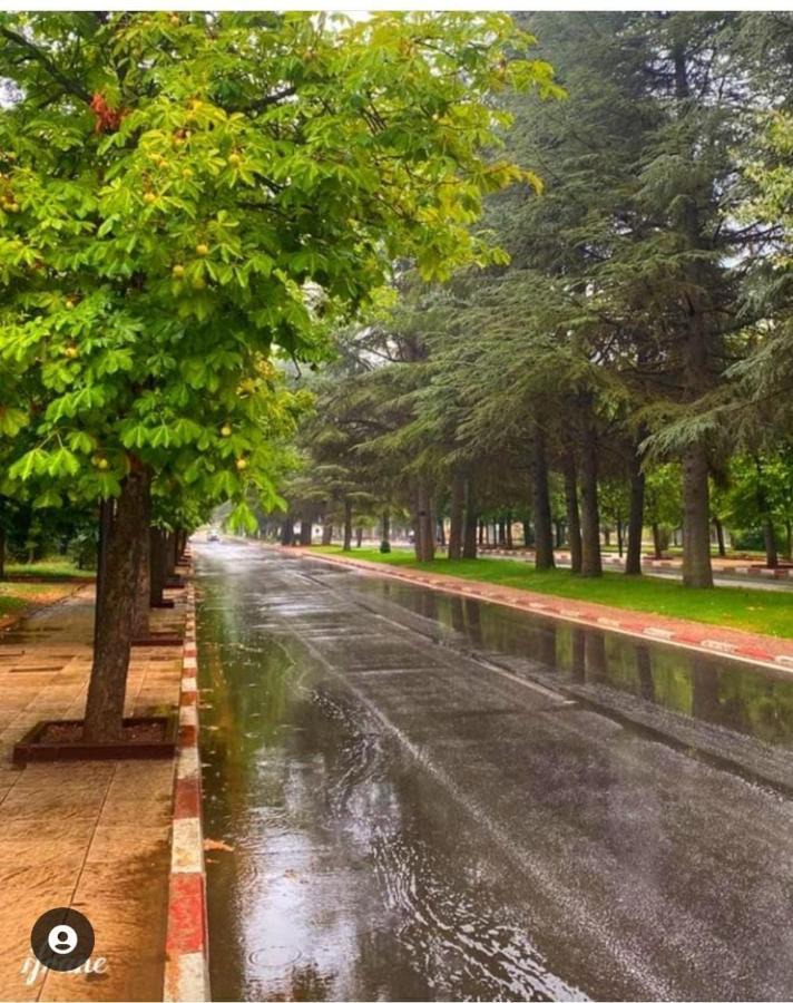 Appartement Amira Ifrane Ifrane  Dış mekan fotoğraf